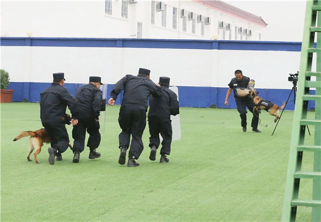 “一带一路国防教育就业工程运营项目”授揭牌仪式在天照集团举行