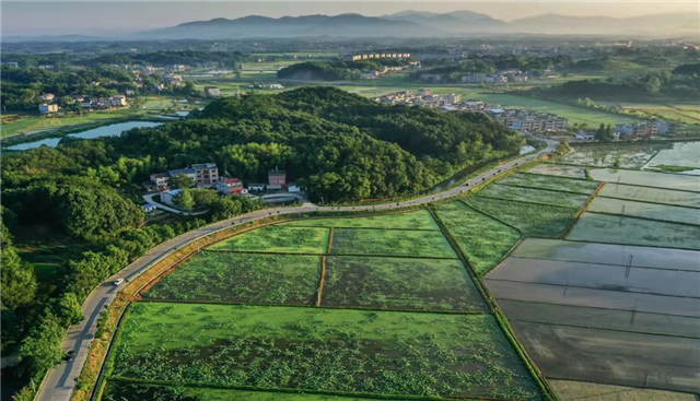 湖北蕲春刘河镇：修通乡村振兴路，百姓生活比蜜甜