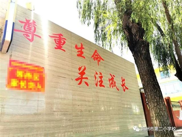 朔州市第二小学校开展“喜迎二十大 安全进校园”活动