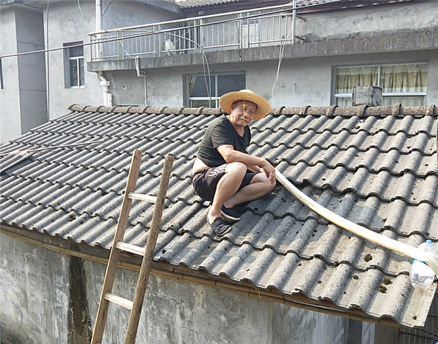 壺֡ͬ족