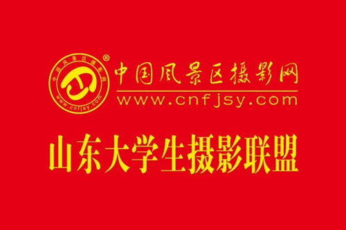 11454708064359636_5.png 11454708064359636_5.png