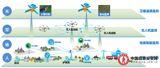 大模型时代的林草行业智能化变革