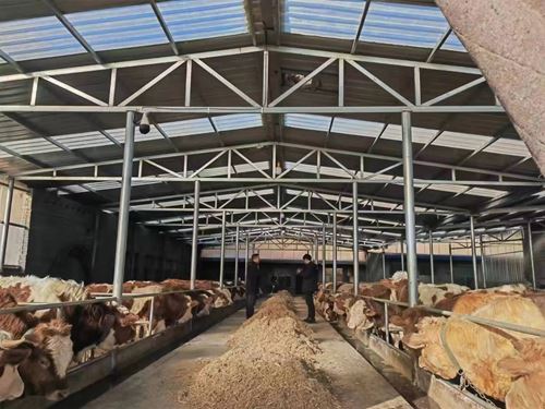 22221663522502146_5.jpg 22221663522502146_5.jpg