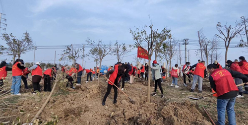 众人植树树成林——霍邱县城关镇开展义务植树活动
