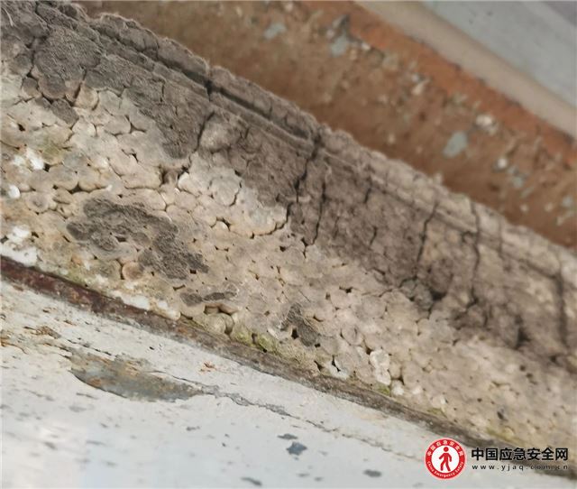 07205739993779824_13.jpeg 07205739993779824_13.jpeg