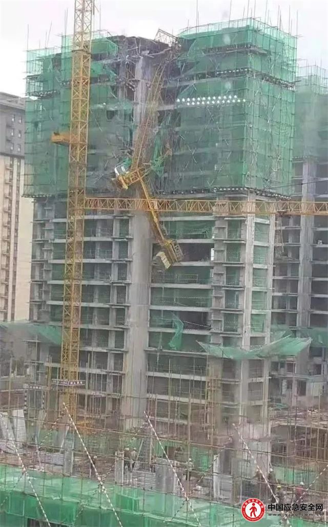 17333874383237252_25.jpg