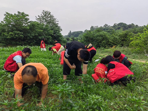 乡土间的助残答卷——长沙市上善助残服务中心的十年深耕(图11) 乡土间的助残答卷——长沙市上善助残服务中心的十年深耕(图11)
