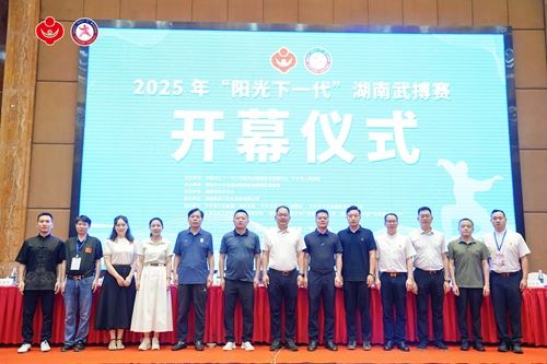 2025年“阳光下一代”湖南武搏赛桃江县武术队荣获佳绩