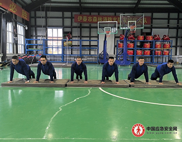 林都火焰蓝丨友好区大队