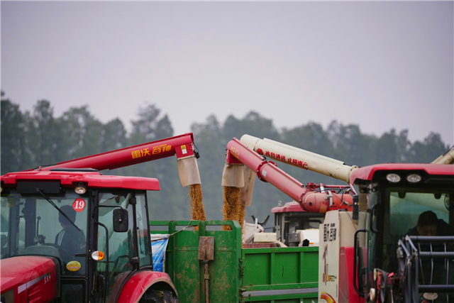 潜江:秋收冬种正当时(图1) 潜江:秋收冬种正当时(图1)