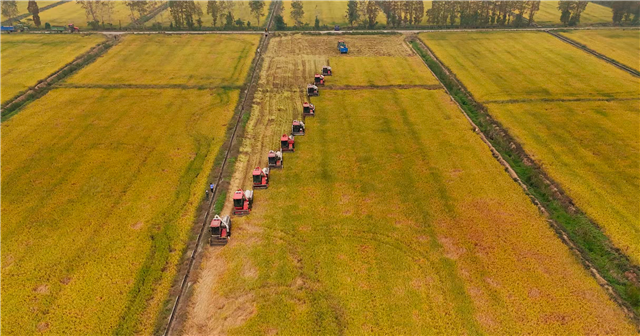 潜江:秋收冬种正当时(图2) 潜江:秋收冬种正当时(图2)