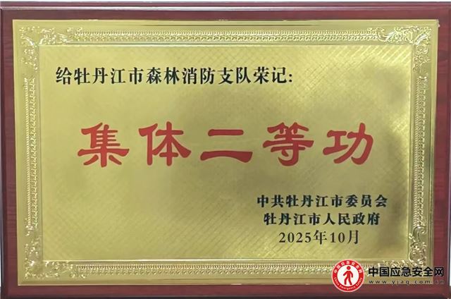 喜报:牡丹江市森林消防支队连续