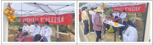 中国甜柿第一村錾子石第十五届甜柿节:柿红药香两相宜(图5) 中国甜柿第一村錾子石第十五届甜柿节:柿红药香两相宜(图5)