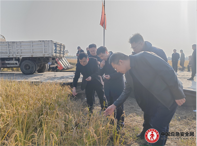 18365243632978340_13.png 18365243632978340_13.png