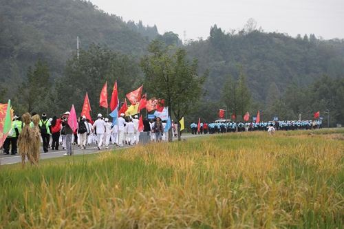 09050262386074796_5.jpg 09050262386074796_5.jpg