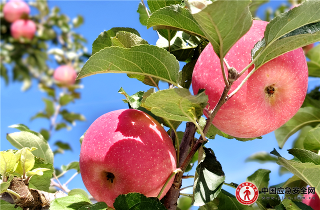 16535649809775458_13.png 16535649809775458_13.png