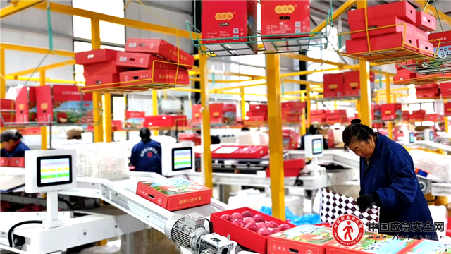 16544306056674504_13.png 16544306056674504_13.png