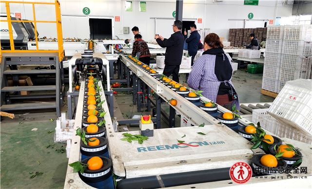 07424195113732127_13.jpeg 07424195113732127_13.jpeg