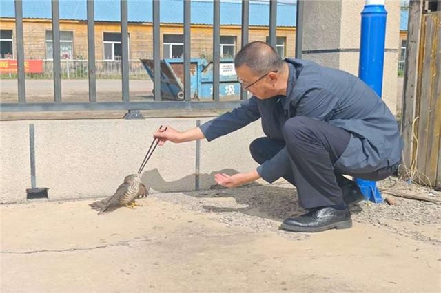 林海藏蓝守护者：库都尔分局 2025 年生态守护答卷(图4)