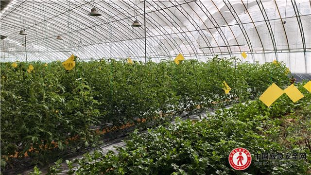 18350345112659008_13.jpeg 18350345112659008_13.jpeg