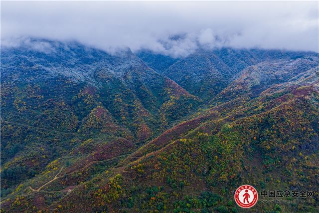 11200888865757619_13.jpeg 11200888865757619_13.jpeg