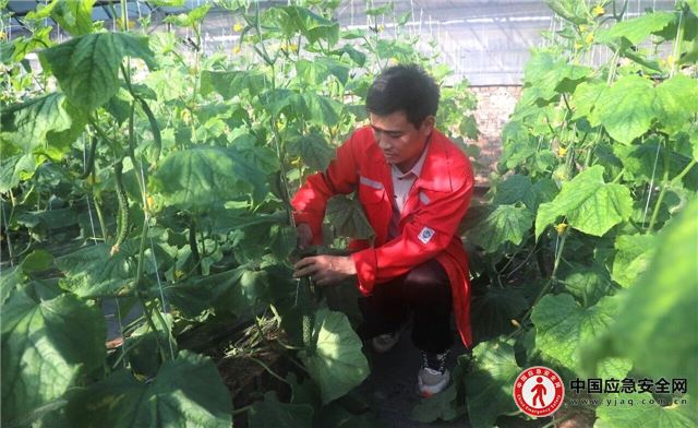 00412968555143617_13.jpeg 00412968555143617_13.jpeg