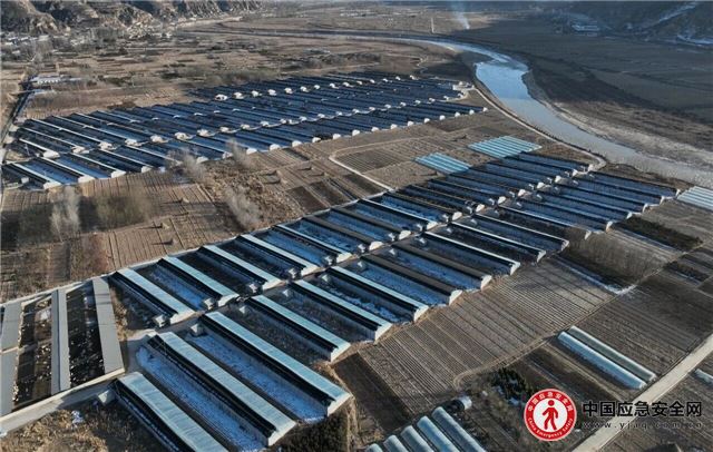 00415002937349535_13.jpeg 00415002937349535_13.jpeg