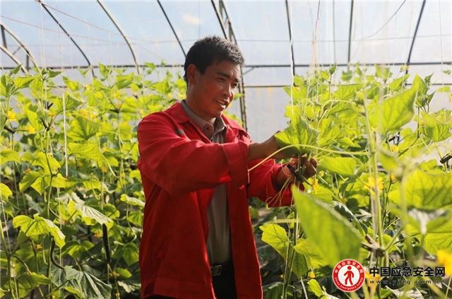 00421013861855966_13.jpeg 00421013861855966_13.jpeg