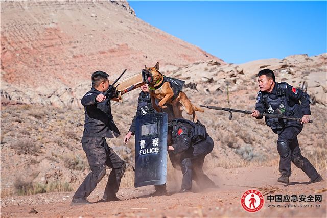 新疆克州：新春开训