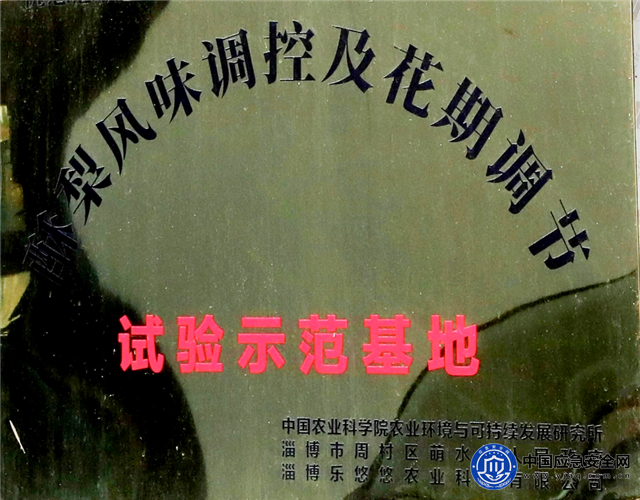 14064834817093429_25.png